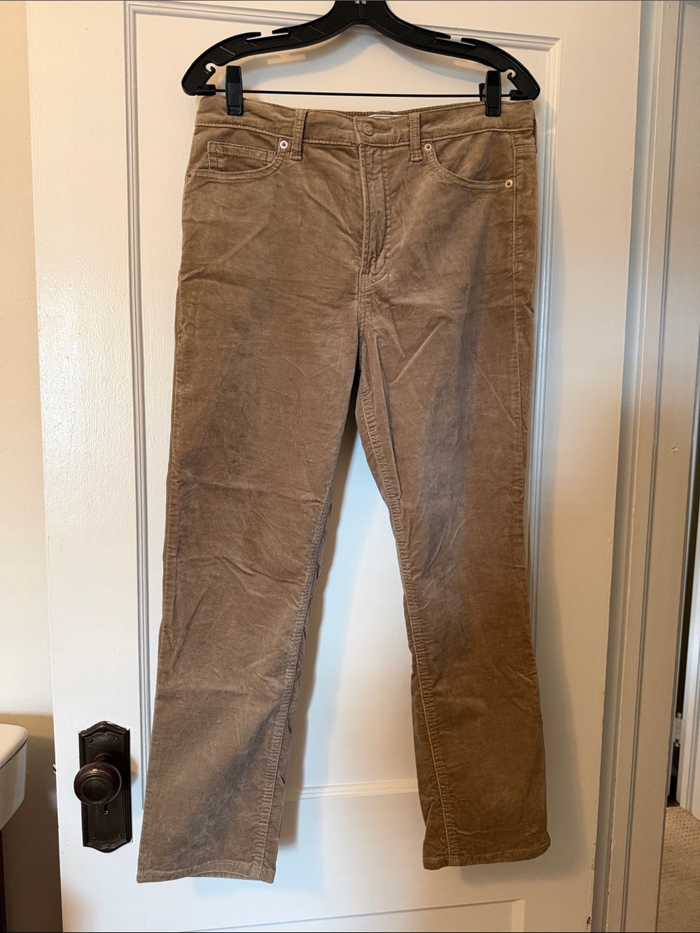 GAP Tan Velvet Straight pants